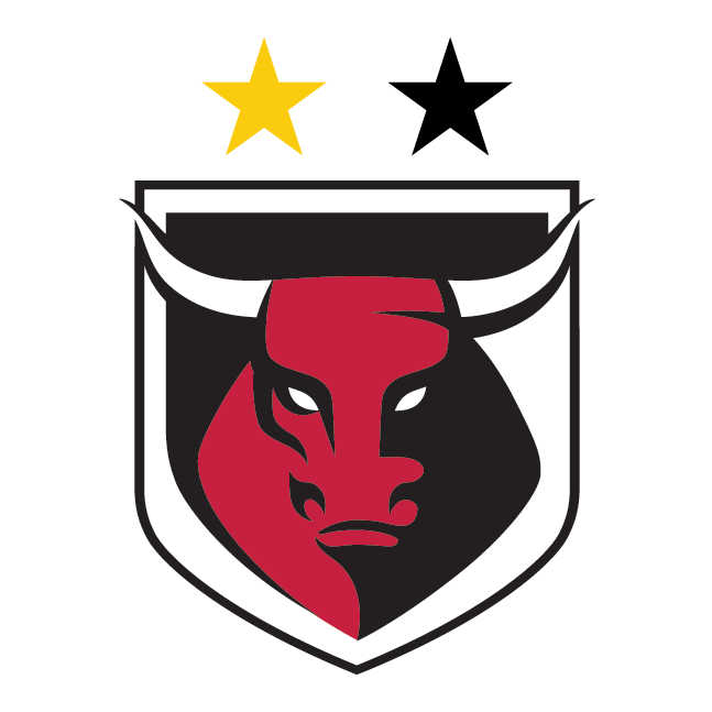 Bulls Soccer Club Logo